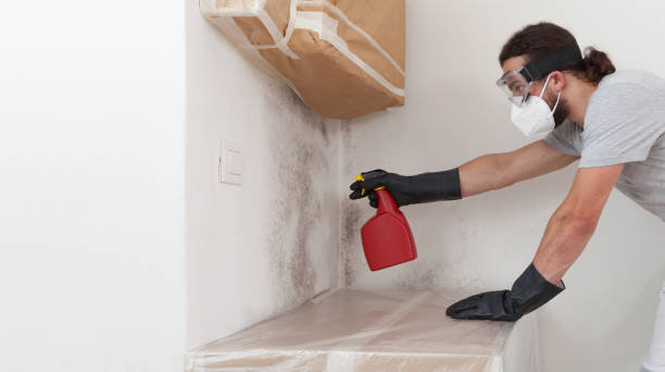 Professional Crawl Space Mold Remediation technician working in Sterling, GA